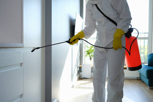 Crawl Space Mold Removal in Rayne, LA
