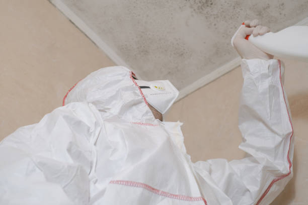 Best Crawl Space Mold Removal  in Rayne, LA